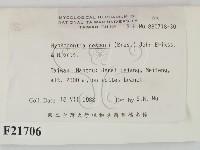 登錄號:F0021706藏品圖，第2張