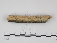 登錄號:F0021706藏品圖，第1張