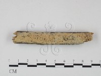 登錄號:F0021706藏品圖，第3張