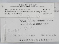 登錄號:F0021715藏品圖，第2張