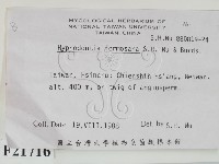 登錄號:F0021716藏品圖，第2張