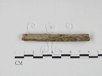 登錄號:F0021716藏品圖，第1張