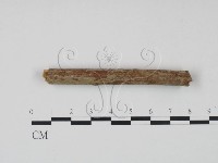 登錄號:F0021716藏品圖，第3張