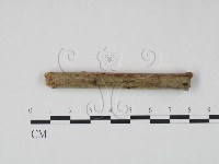 登錄號:F0021716藏品圖，第4張
