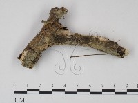 登錄號:F0021723藏品圖，第1張