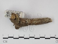 登錄號:F0021723藏品圖，第3張