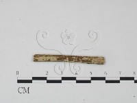 登錄號:F0021724藏品圖，第1張