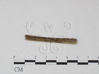 登錄號:F0021724藏品圖，第3張