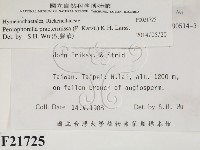 登錄號:F0021725藏品圖，第2張