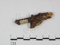 登錄號:F0021725藏品圖，第1張