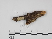 登錄號:F0021725藏品圖，第3張
