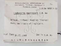 登錄號:F0021726藏品圖，第2張