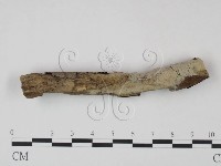 登錄號:F0021727藏品圖，第1張