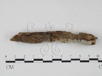 登錄號:F0021727藏品圖，第3張