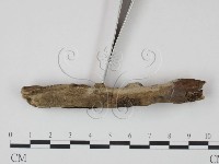 登錄號:F0021727藏品圖，第4張