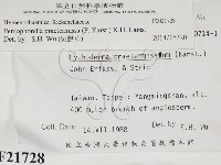 登錄號:F0021728藏品圖，第2張
