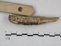 登錄號:F0021728藏品圖，第4張