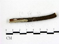 登錄號:F0021729藏品圖，第1張