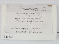 登錄號:F0021730藏品圖，第2張