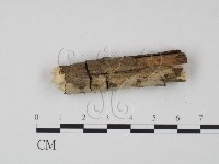 登錄號:F0021730藏品圖，第1張