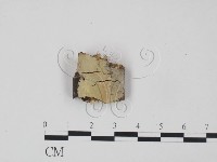 登錄號:F0021731藏品圖，第1張