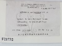登錄號:F0021732藏品圖，第2張