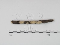 登錄號:F0021732藏品圖，第1張