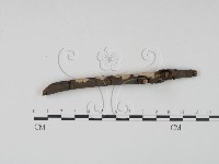 登錄號:F0021732藏品圖，第3張