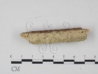登錄號:F0021734藏品圖，第1張