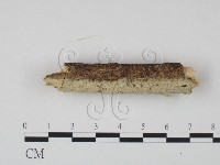 登錄號:F0021734藏品圖，第3張