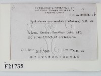 登錄號:F0021735藏品圖，第2張