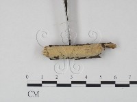登錄號:F0021735藏品圖，第3張