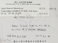 登錄號:F0021736藏品圖，第2張