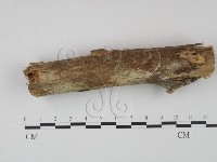 登錄號:F0021736藏品圖，第1張