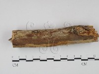 登錄號:F0021736藏品圖，第3張