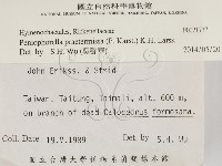 登錄號:F0021737藏品圖，第2張