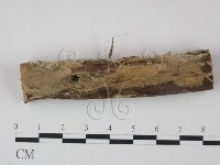 登錄號:F0021737藏品圖，第1張