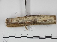 登錄號:F0021737藏品圖，第3張
