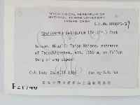 剛毛絲皮菌藏品圖，第2張