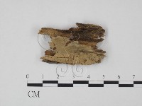 登錄號:F0021744藏品圖，第1張