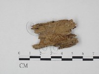 登錄號:F0021744藏品圖，第3張