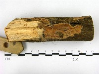 登錄號:F0021745藏品圖，第3張