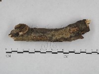 登錄號:F0021746藏品圖，第1張