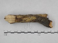 登錄號:F0021746藏品圖，第3張