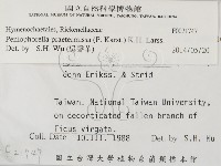登錄號:F0021747藏品圖，第2張