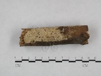 登錄號:F0021747藏品圖，第1張