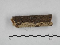 登錄號:F0021747藏品圖，第3張