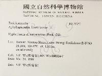登錄號:F0021750藏品圖，第2張