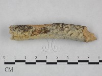 登錄號:F0021753藏品圖，第3張