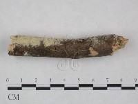 登錄號:F0021753藏品圖，第4張